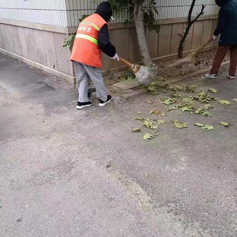 【环秀街道】11月29日创城工作情况进展