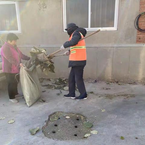 【环秀街道】11月30日创城工作情况进展