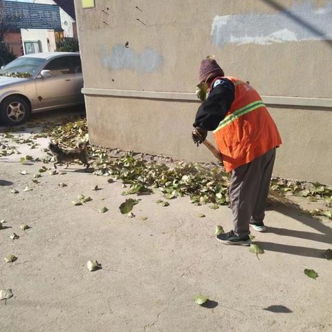 【环秀街道】12月1日创城工作情况进展