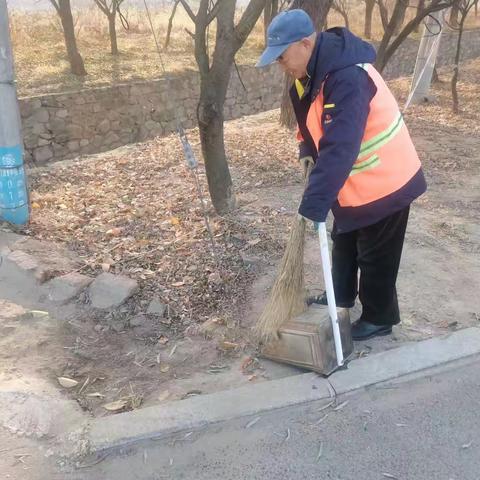 【环秀街道】12月4日创城工作情况进展