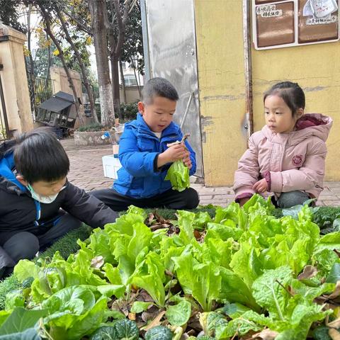 美好“食”光·   鸿基水城幼儿园中二班劳动实践课程——巧手做饼 美味吃起来