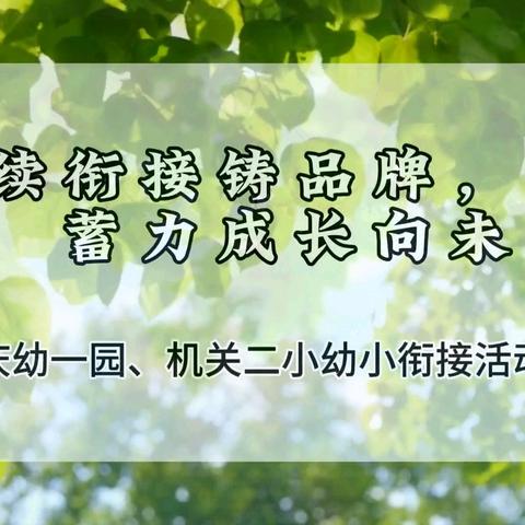 赓续衔接铸品牌，蓄力成长向未来 ——机关二小、庆幼一园幼小衔接