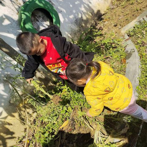 仙鹤阳光幼儿园建兰二班第四周周点滴