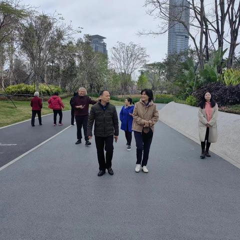 谢良生委员到中心公园和笔架山公园调研