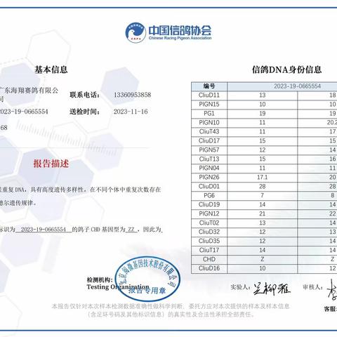 广东海翔（秋棚）决赛101-200名DNA基因鉴定证书