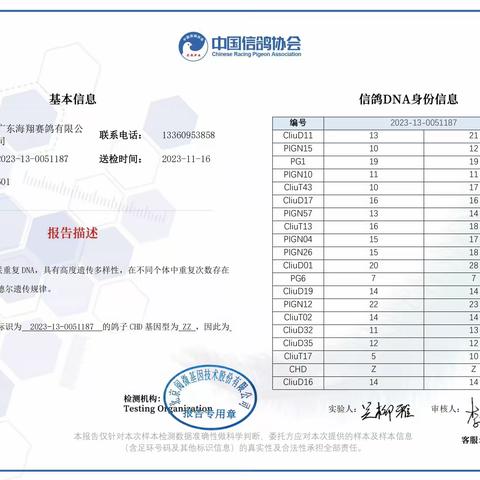 广东海翔（秋棚）决赛601-700名DNA基因鉴定证书