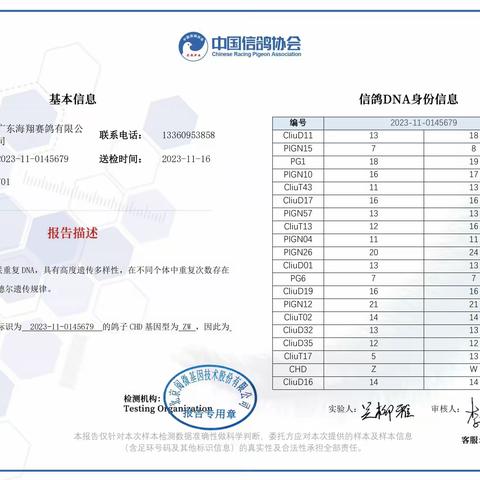 广东海翔（秋棚）决赛701-800名DNA基因鉴定证书