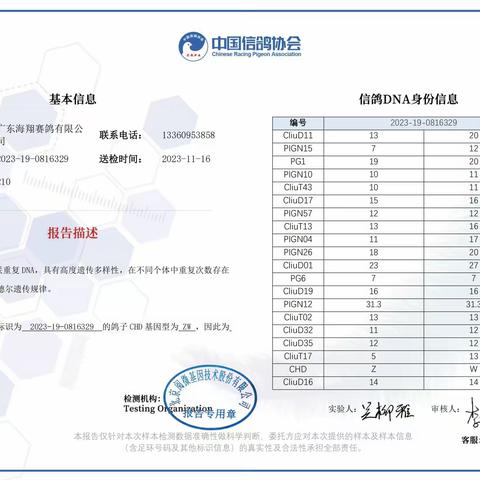 广东海翔（秋棚）决赛201-300名DNA基因鉴定证书