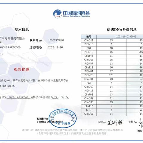 广东海翔（秋棚）决赛401-500名DNA基因鉴定证书