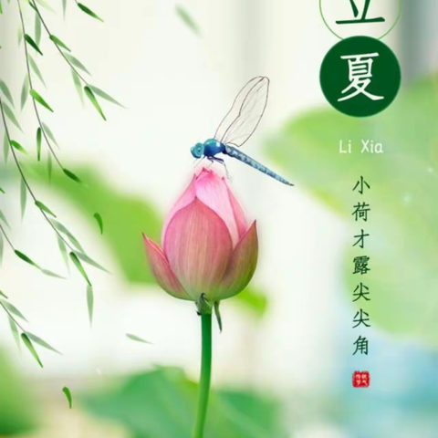 5月6日《立夏》，是夏天最初的萌动，是万物生长的季节，春的梦想，代表着春天的结束和夏天的开始。这一时节，天气逐渐炎热，阳光充沛，万物进入快速生长阶段，立夏不仅是季节转换的标志，也承载着丰富的文化内涵