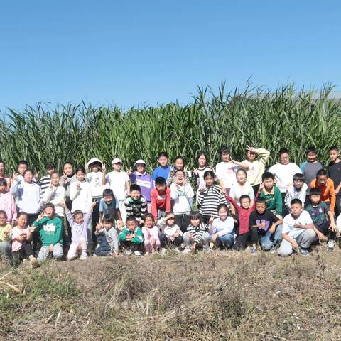 【课程育人】劳动体验增见识，社会实践促成长——芒市第四小学五(4)班社会实践活动