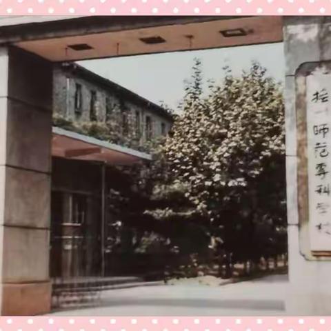 抚州师专1983届中文系                        抚州城区同学录