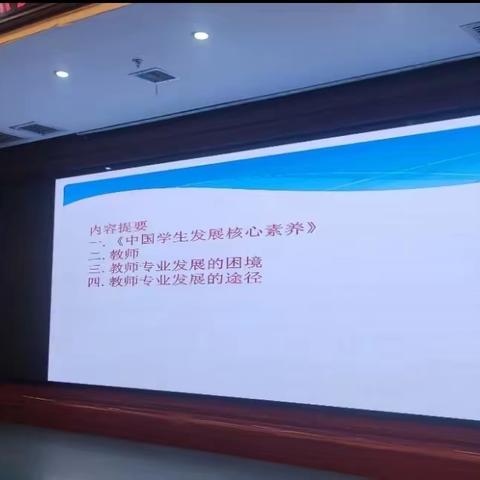 核心素养视阈下的教师专业发展——杨复元教授