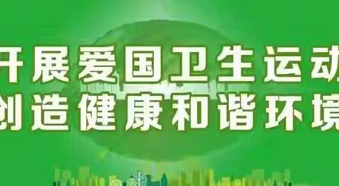 开展爱国卫生运动  阻断登革热传播 -----雷虎村开展爱国卫生环境整治活动