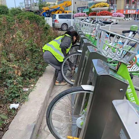 五一劳动  我最光荣