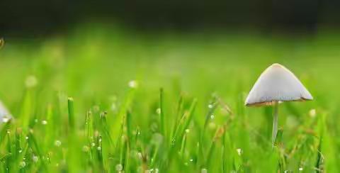 新诚小区2024年3月工作简报