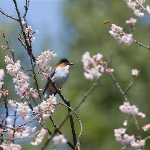 新诚小区服务中心2024年4月工作简报