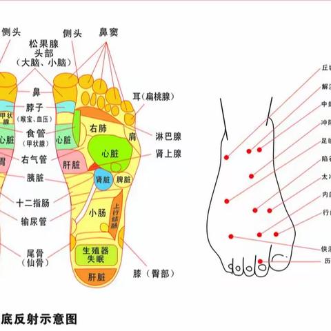 足疗一次100多，理疗一次300，穿步力宝随时随地按摩理疗，每天不但2元钱！