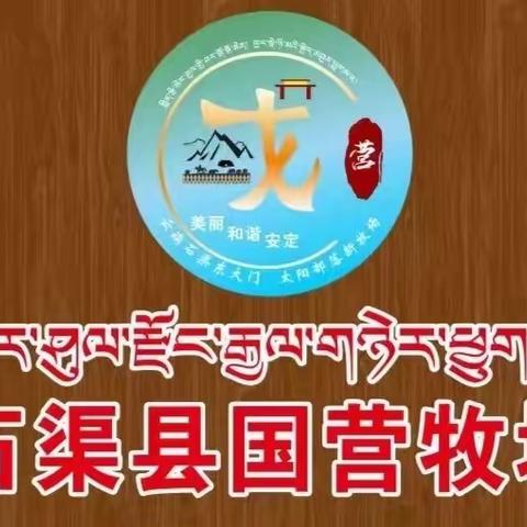 国营牧场召开2023年度村干部述职报告评议大会