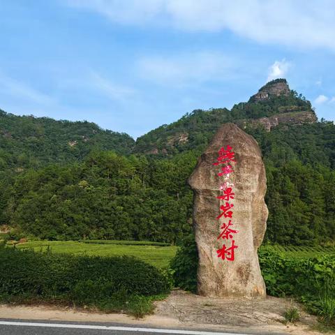 燕子窠：茶在杯中，景在画里
