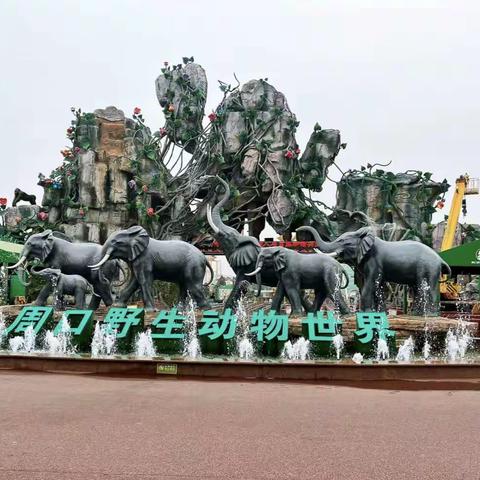 《走进动物园，亲近大自然》～南坞镇雏鹰小学周口野生动物园研学旅行