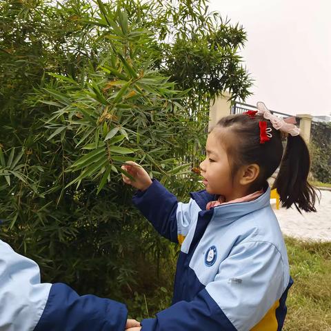 【中一班生成课程】有趣的水雾