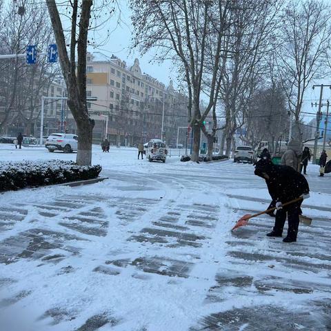 铲雪铲冰志愿行 一起扫出“暖心路”