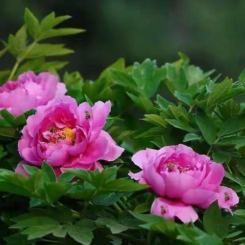 🌿雨生百谷 春生万物🌿——郓城县实验幼儿园（郓州府园）中二班 一周精彩回顾