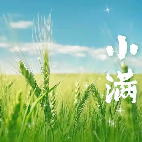 🌿万物渐丰🌱小得圆满🌿——郓城县实验幼儿园（郓州府园）中二班本周精彩回顾