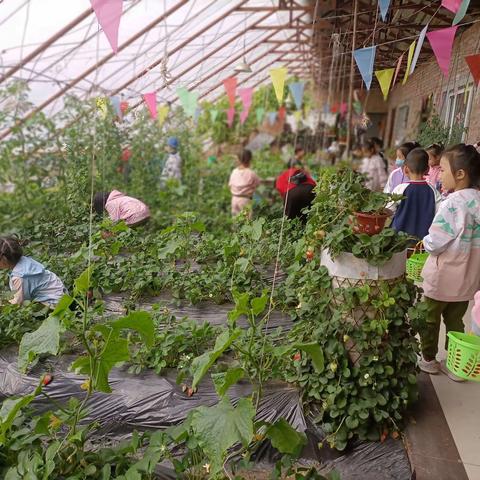 精彩内容🌸爸爸妈妈们快来围观喽