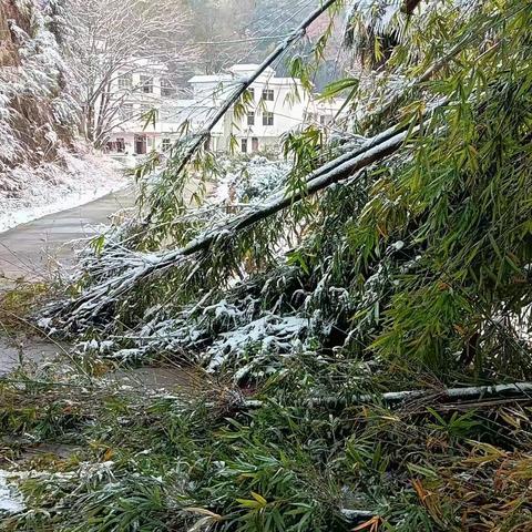 沙新村文明实践站《道路清理》