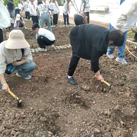 【劳动教育实践】播种玉米有希望 耕作劳动促成长——福佑路小学三（2）班玉米种植活动