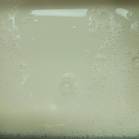 长春绿动12.1日早餐