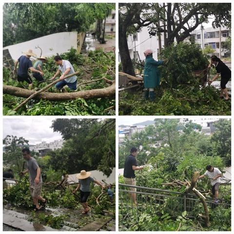 风雨更显党旗红—兰洋镇中心学校全体党员干部台风后清理校园