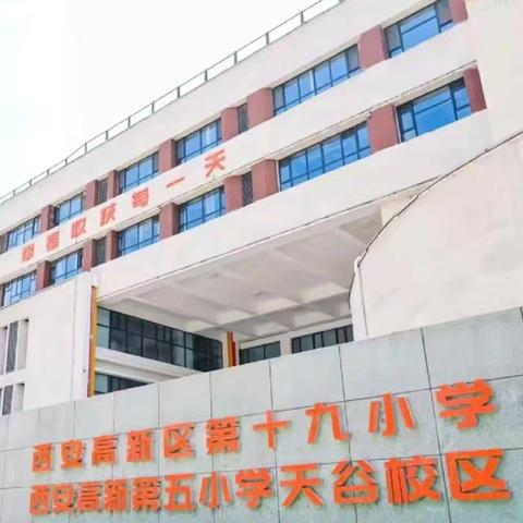 西安高新区第十九小学第五周的简篇