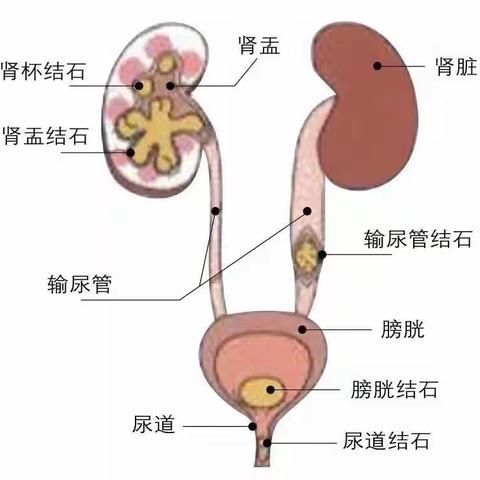 “碎碎平安”更健康  老年医学科360健康教育第8期