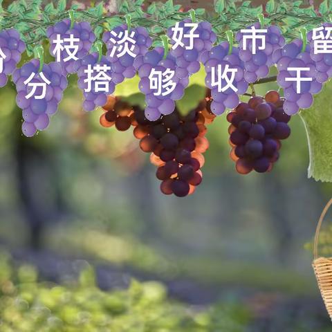 美丽中国行，走进“葡萄沟”——衡东县新塘镇芙蓉学校2023年下学期小学语文教研活动《葡萄沟》