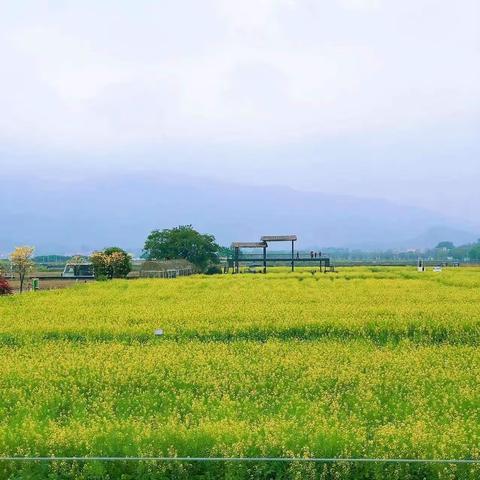 芳华易逝心不老，何惧岁月染白头－－－记女神节云山中学英语教研活动