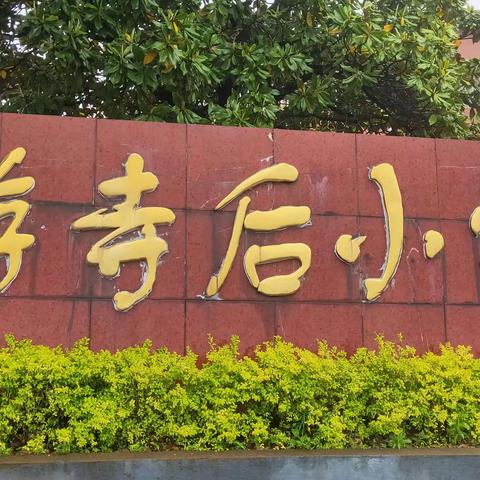 记龙游寺后小学——   一（2）班研学之旅