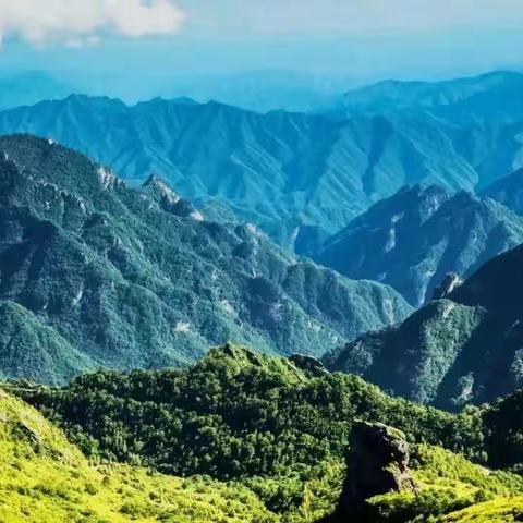 【曲江教育】护秦岭生态 守绿水青山——曲江第十三幼儿园