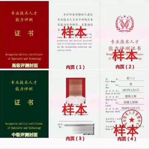 专 业 技 术 人 才 专业分类表