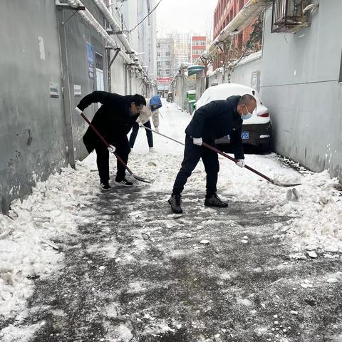 雪寒人心暖—劳动路社区志愿者开展清雪除障活动