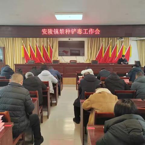 安陵镇：多措并举强宣传 禁种铲毒入人心