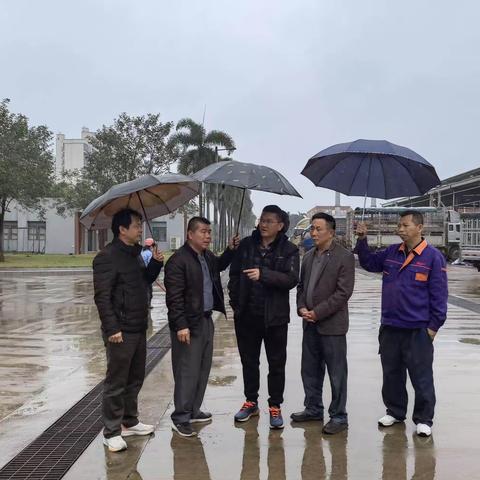 桂林洋开发区管委会陈创福副主任冒雨带队到罗牛山屠宰厂实地进行走访
