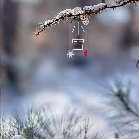 二十四节气—小雪