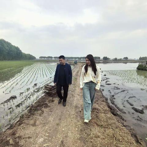 洮南支行开展“乡村深耕”系列活动
