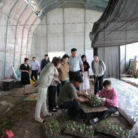 省分行“乡村深耕”乡村产业专题调研活动通报