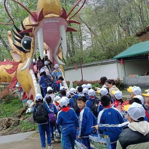 春风有信花有期不负时光趣研学