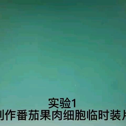 2025年生物实验视频讲解