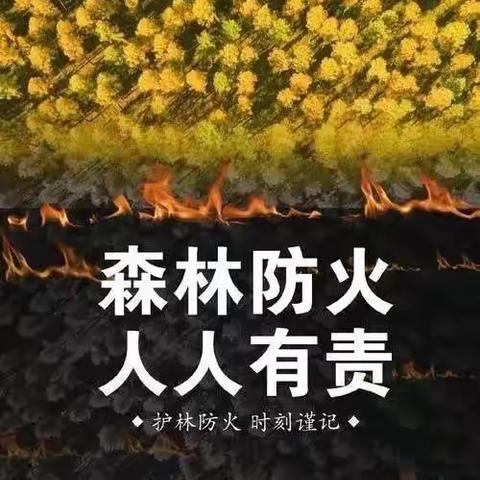 森林防火   人人有责 马关县特殊教育学校关于森林防火安全教育致家长的一封信